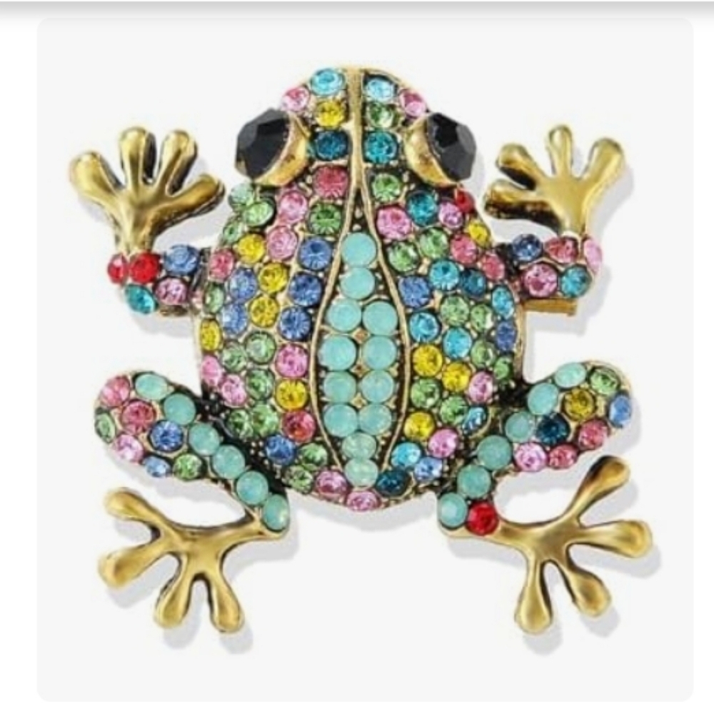 Crystal Multicolor Frog Brooch